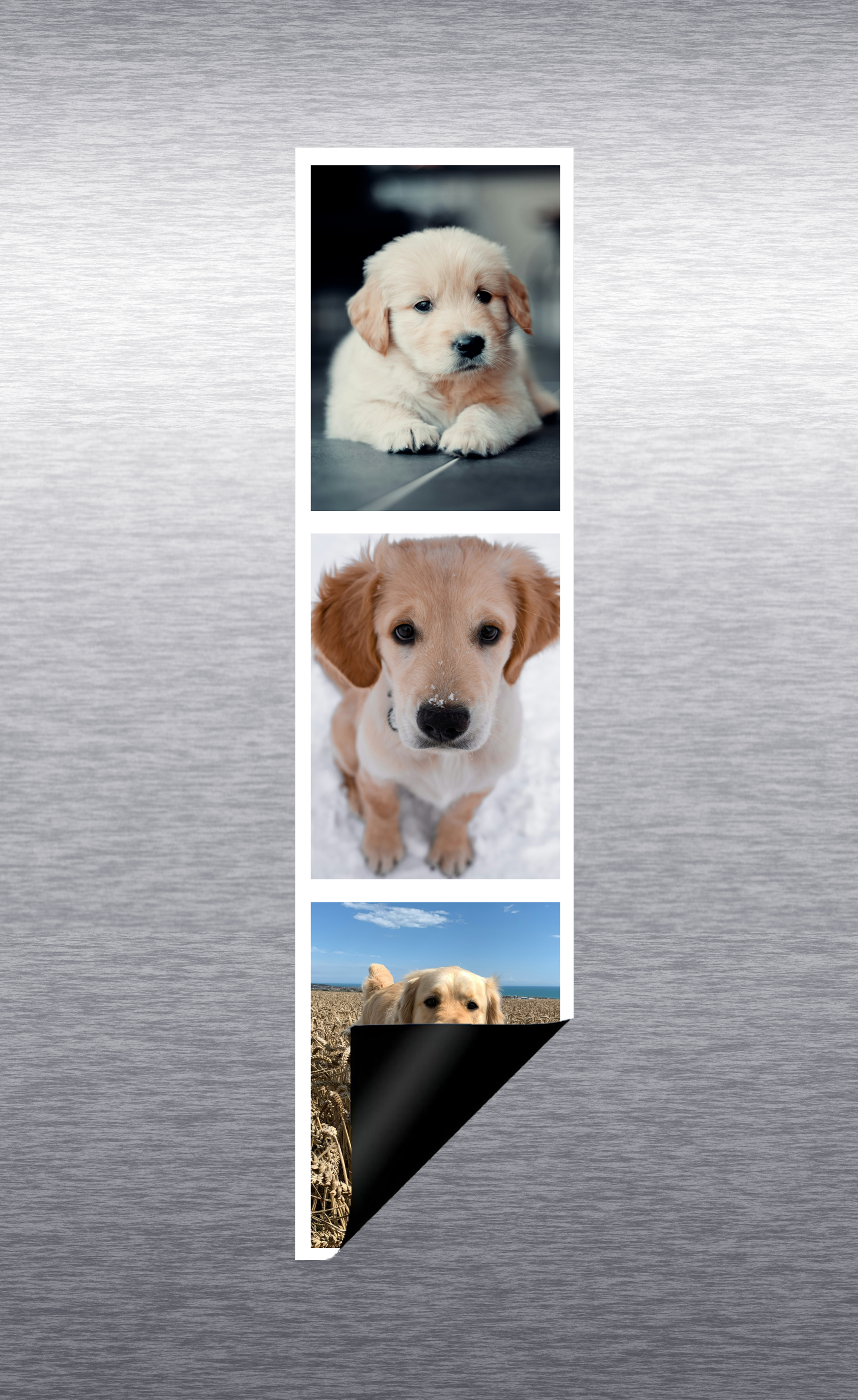 Présentation magnet photo cabine personnalisé sur porte de frigo