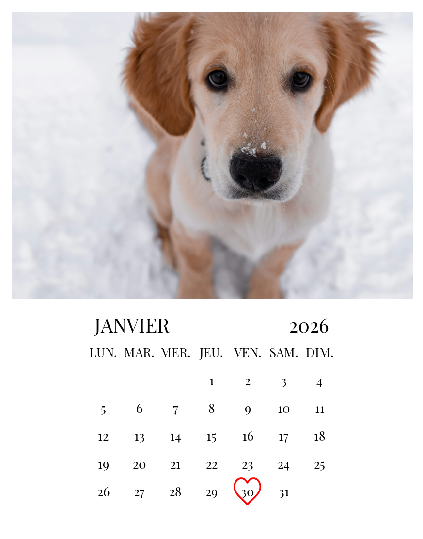 Détail 1 magnet calendrier personnalisé (mois de janvier 2026) avec date favorite